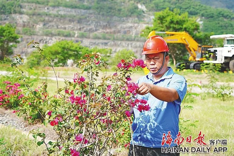1717063485972696.jpg 开云官方网页版-开云online(中国)
这座矿山,为何这么绿?4.jpg
